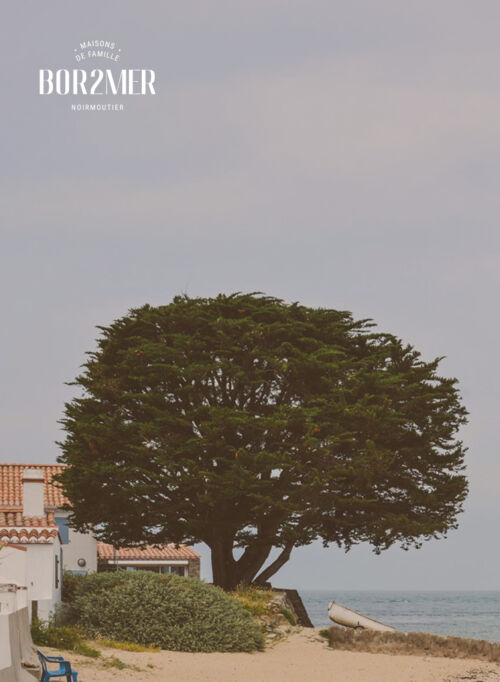 DPAD - Delphine Pothelet Art Director